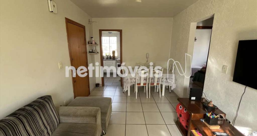 Venda Apartamento 2 quartos Nova Vista Belo Horizonte