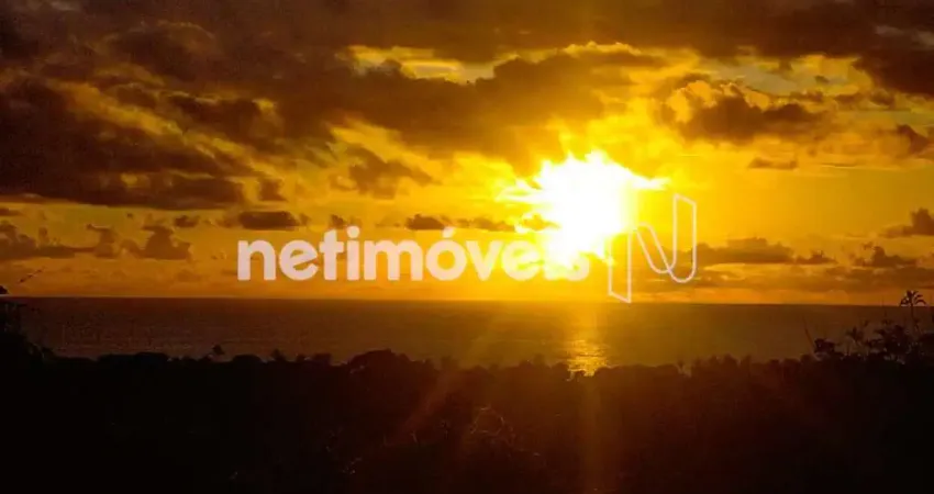 Lançamento de condomínio de casas em arraial d’ajuda, porto seguro, bahia em construção e na planta