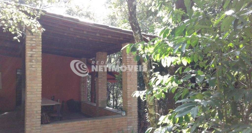 Chácara / sítio com 3 quartos à venda na Rua Chácara, Quinta das Palmeiras, Pedro Leopoldo