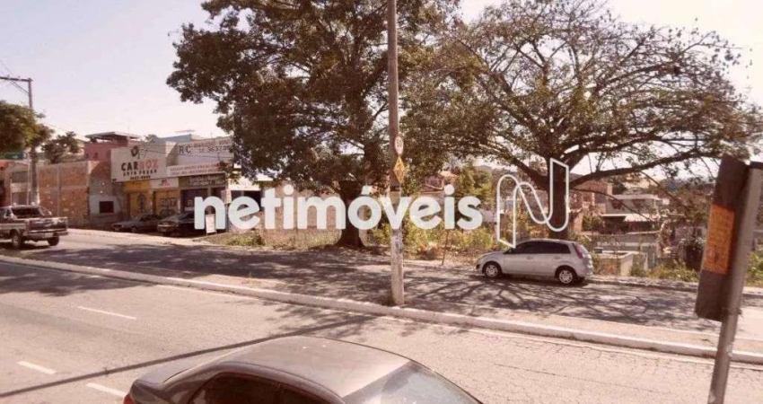 Terreno à venda na Avenida Brasília, São Benedito, Santa Luzia