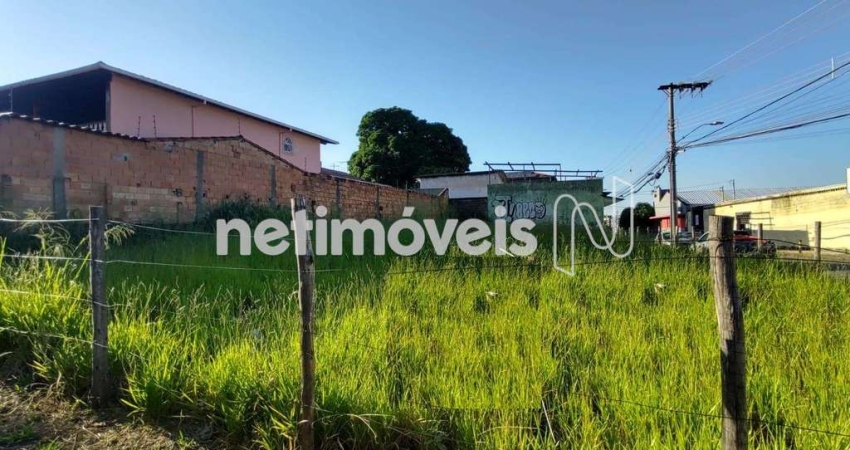 Terreno à venda na Rua Tomás Brandao, Jardim Montanhês, Belo Horizonte