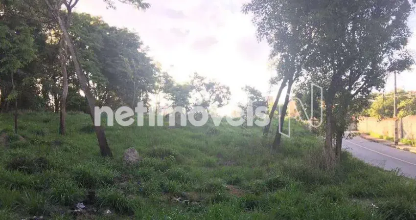 Terreno à venda na Rua Dona Amélia Torres, Jardim Nazareno, Betim