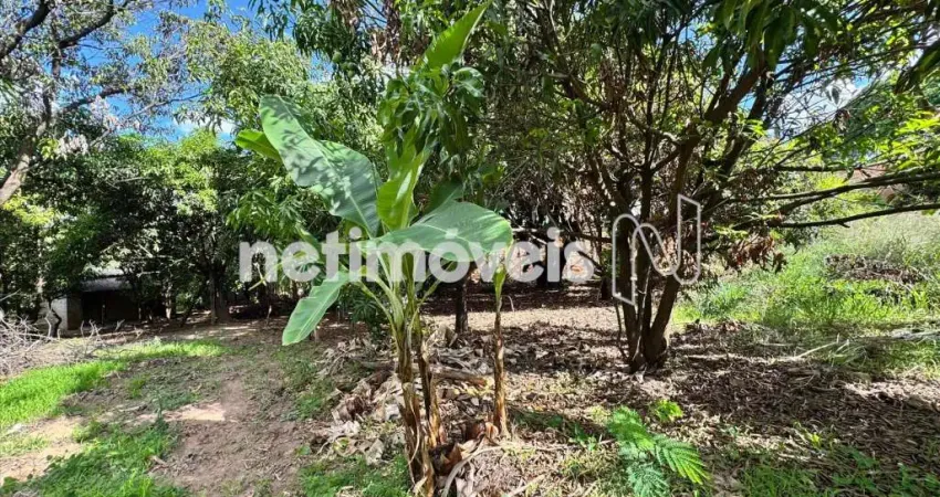 Terreno à venda na Rua Etervino Tibúrcio Henriques, Garças, Belo Horizonte