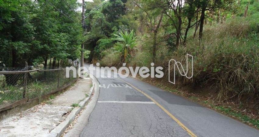 Terreno à venda na Rua Gentios, Coração de Jesus, Belo Horizonte
