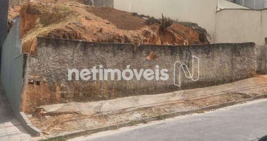 Terreno à venda na Rua José Júlio Ferreira, Fernão Dias, Belo Horizonte