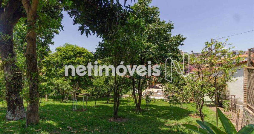 Terreno à venda na Rua José Flávio Rodrigues, Tirol, Belo Horizonte