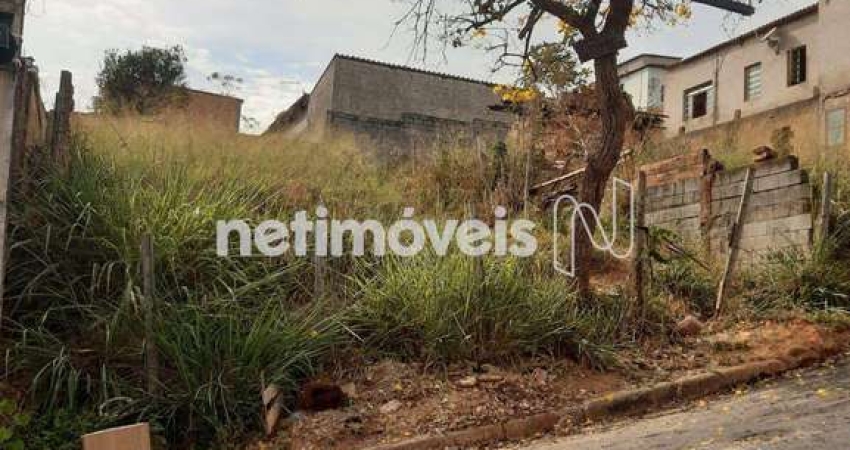 Terreno à venda na Rua Araras, Maria Adélia, Santa Luzia