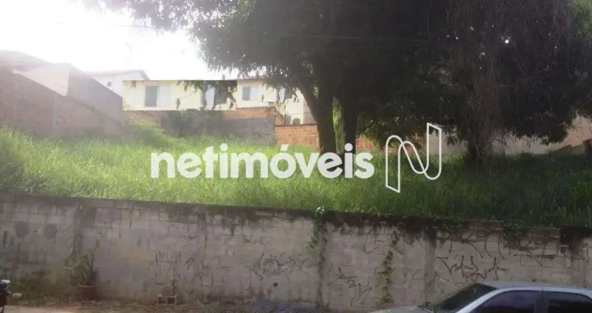 Terreno à venda na Rua dos Bacuraus, Vila Cloris, Belo Horizonte