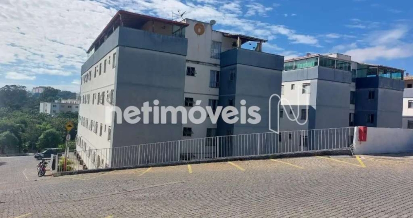 Cobertura com 2 quartos à venda na Rua Aristides Duarte, Asteca (São Benedito), Santa Luzia