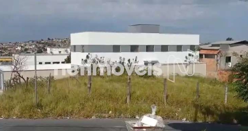 Terreno à venda na Avenida A, Severina, Ribeirão das Neves
