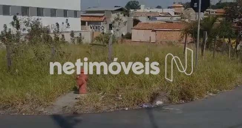 Terreno à venda na Avenida A, Severina, Ribeirão das Neves