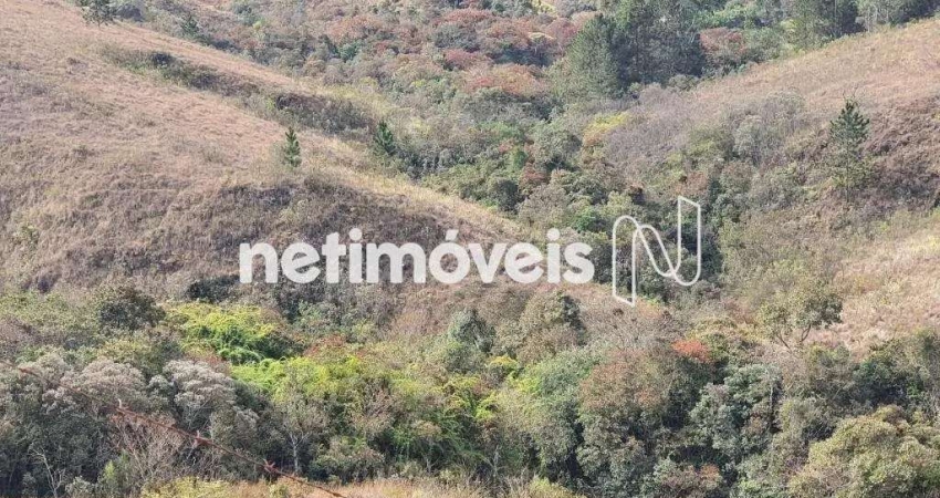 Terreno em condomínio fechado à venda na Rua Dois, Vila Alpina, Nova Lima