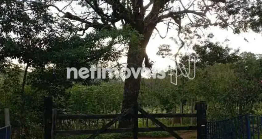 Chácara / sítio com 3 quartos à venda na Estrada Estrada Para Ribeirão dos Cornélios, Zona Rural, Itaguara
