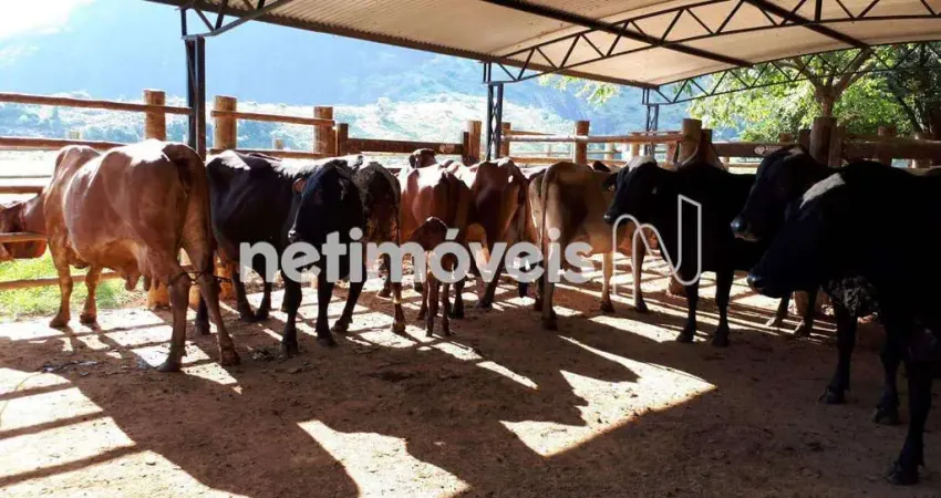 Chácara / sítio com 2 quartos à venda na Distrito Corrego Santa Rita, Zona Rural, Mutum