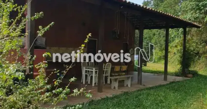 Cota em agrofloresta em souza, rio manso, 64.000 m²; com nascente, floresta produtiva e vida natural.