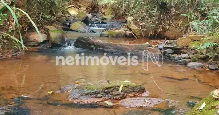 Cota em agrofloresta em souza, rio manso, 64.000 m²; com nascente, floresta produtiva e vida natural.