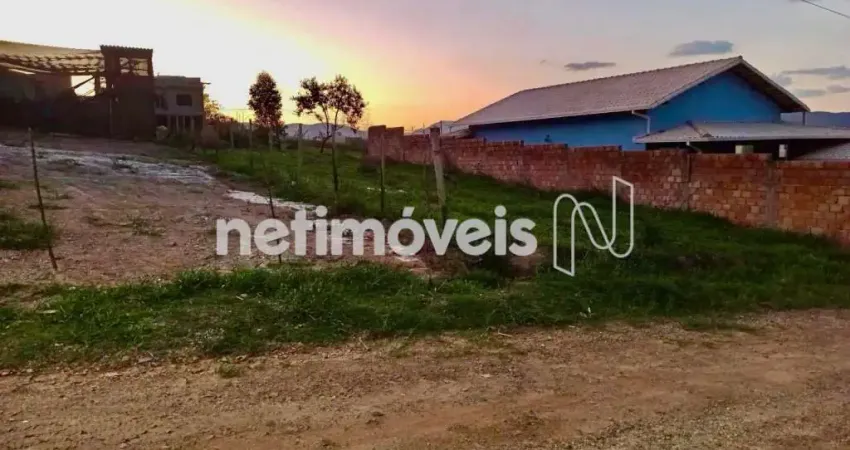 Terreno comercial à venda na Rua Um, Piedade do Paraopeba, Brumadinho