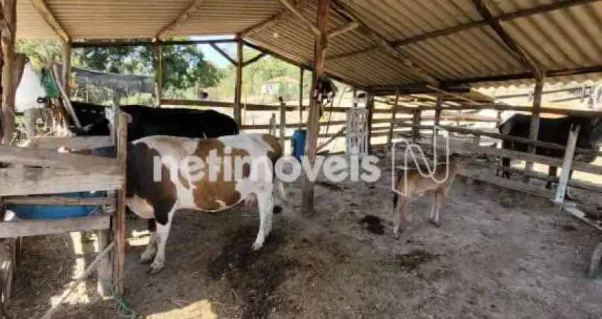 Chácara / sítio com 4 quartos à venda na Zona Rural Mata do Sítio, Zona Rural, Entre Rios de Minas