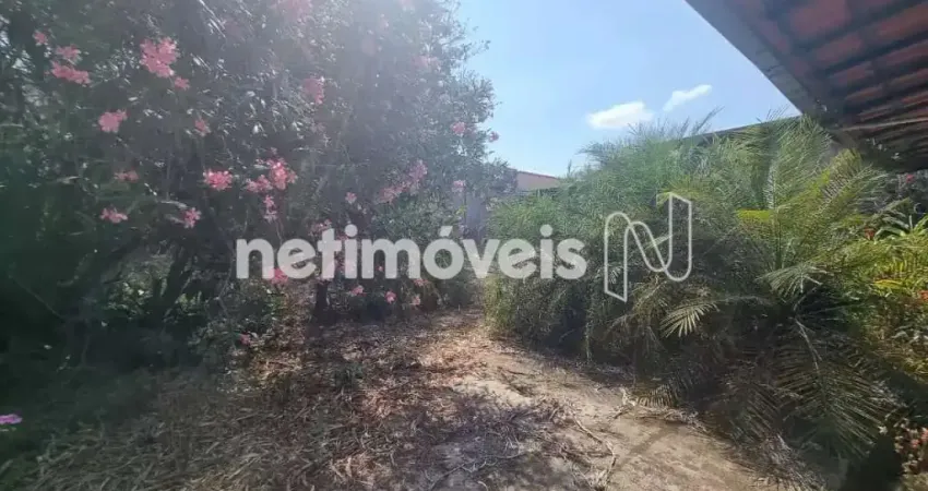 Terreno comercial à venda na Rua Renzo Antonini, Trevo, Belo Horizonte