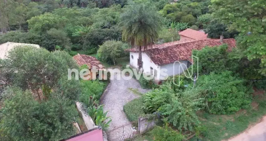 Terreno com casas antigas, leve declive e oportunidade para investidores.