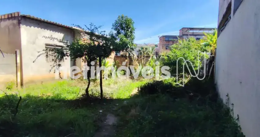 Terreno comercial à venda na Rua Maria Antonieta Ferreira, Independência, Belo Horizonte