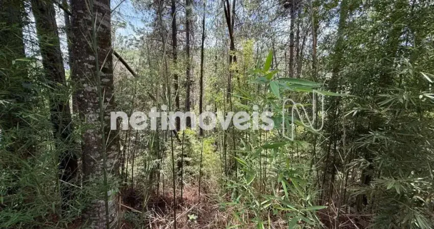 Terreno à venda no estância del rey — a 10 minutos do bh shopping | oportunidade única