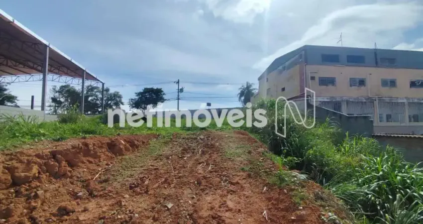 Terreno comercial à venda na Rua do Registro, Vila Beneves, Contagem