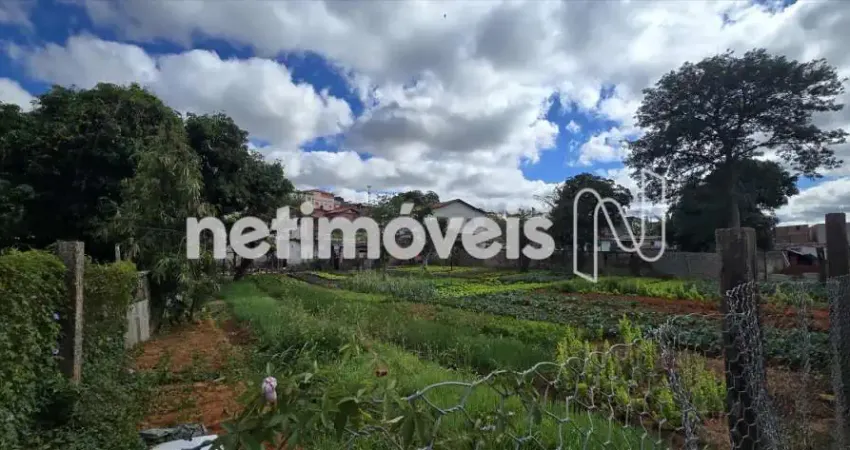 Terreno 1.366 m²; com área verde + 2 Casas no Tirol – Belo Horizonte/MG