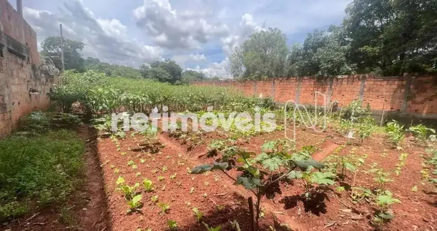 Terreno comercial à venda na Avenida João Batista Drumond, Braúnas, Belo Horizonte