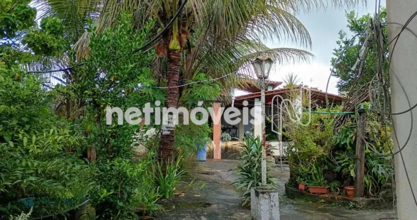 Chácara / sítio com 5 quartos à venda na Rua Curitiba, Zona Rural, São José da Lapa