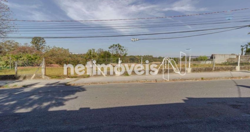 Terreno comercial para alugar na Rua Pedro Celestino Mendonça, Braúnas, Belo Horizonte