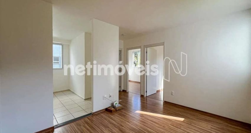 Apartamento com 2 quartos para alugar na Rua Padre Argemiro Moreira, São Gabriel, Belo Horizonte