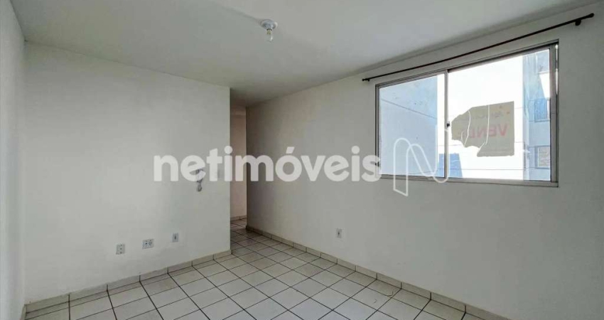 Apartamento com 2 quartos para alugar na Rua Desembargador Paulo Mota, Ouro Preto, Belo Horizonte