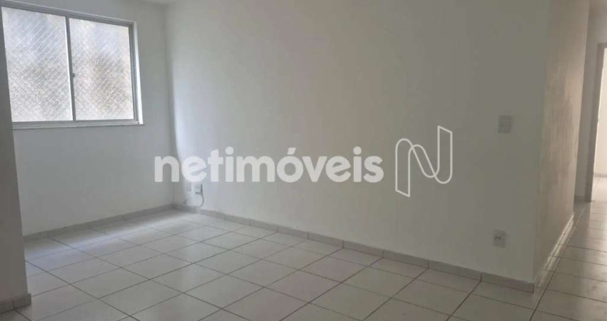 Apartamento com 2 quartos para alugar na Rua Desembargador José Satyro, Castelo, Belo Horizonte
