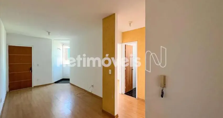 Apartamento com 2 quartos para alugar na Rua Conceição Aparecida Augsten, Castelo, Belo Horizonte