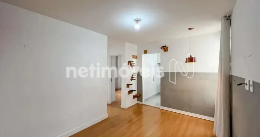 Apartamento com 2 quartos para alugar na Rua Nossa Senhora do Amparo, Ouro Minas, Belo Horizonte