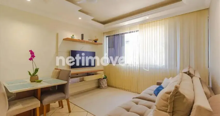 Apartamento com 2 quartos para alugar na Rua Desembargador José Burnier, Castelo, Belo Horizonte