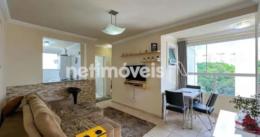 Apartamento com 2 quartos para alugar na Rua Jornalista Tarcísio Henriques, Castelo, Belo Horizonte