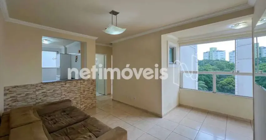 Apartamento com 2 quartos para alugar na Rua Jornalista Tarcísio Henriques, Castelo, Belo Horizonte