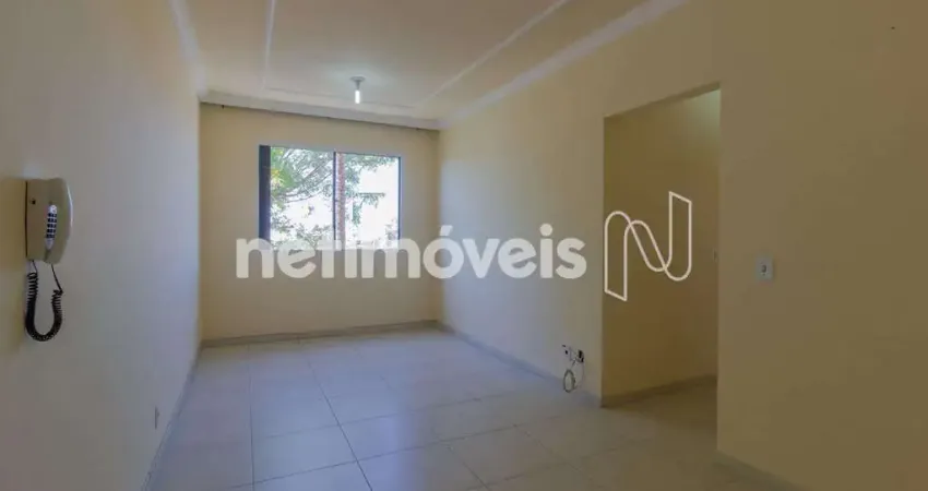 Apartamento com 2 quartos para alugar na Rua Joaquim Pereira, Santa Branca, Belo Horizonte