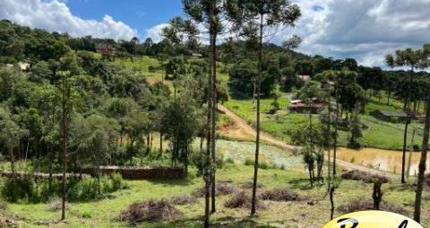 Chácara em campo alegre a venda com 100.000 m² com 2 nascentes, lago, araucárias, plantações, área de heliporto, campo de futebol/vôlei, etc..