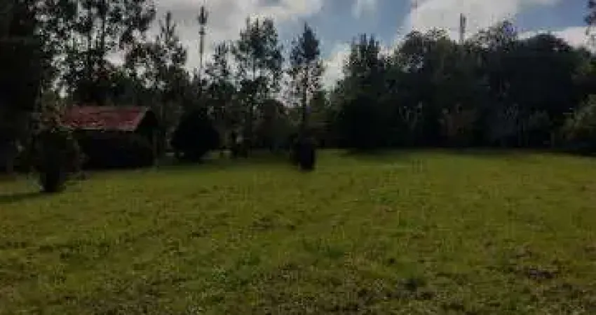 Chácara / sítio à venda no Faxinal, Campo Alegre 