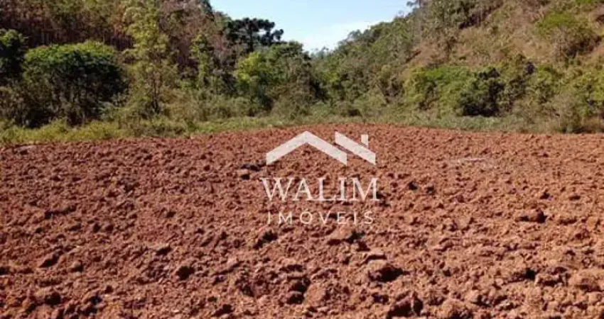 Fazenda à venda na zona rural de barbacena, mg  ideal para produção de eucalipto e criação de gado!
