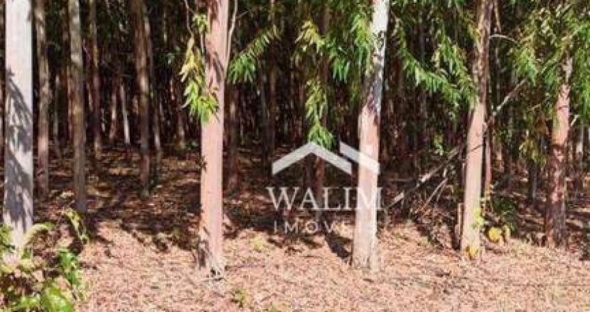 Fazenda com 2 salas à venda na Zona Rural, Baldim 