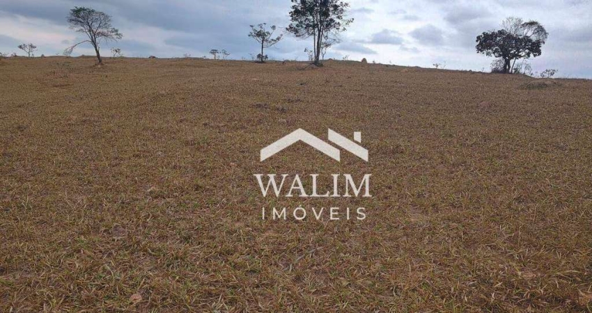 Terreno Rural de 27 ha em Piedade das Gerais, MG – Excelente Oportunidade!