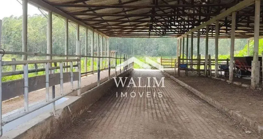 Fazenda com 2 salas à venda na Zona Rural, São Tiago 