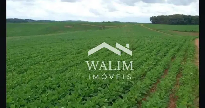 ? fazenda de café e leite à venda – 300 hectares em guaxupé, sul de minas gerais