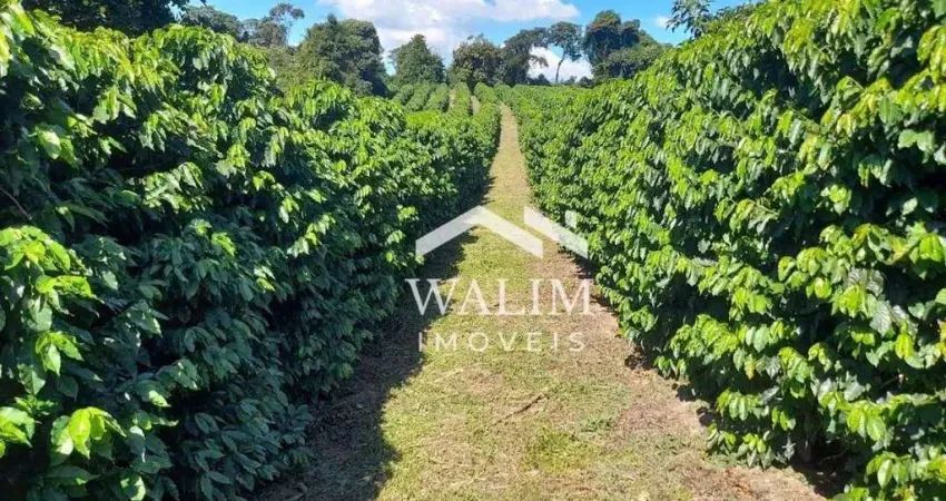 ?? fazenda à venda em carmópolis de minas/mg – 55 hectares com café, pastagem e nascentes!