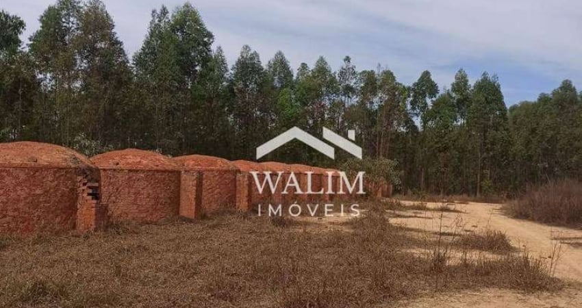Fazenda à Venda em Abaeté, MG - 80 Hectares com Eucalipto em Segundo Corte!