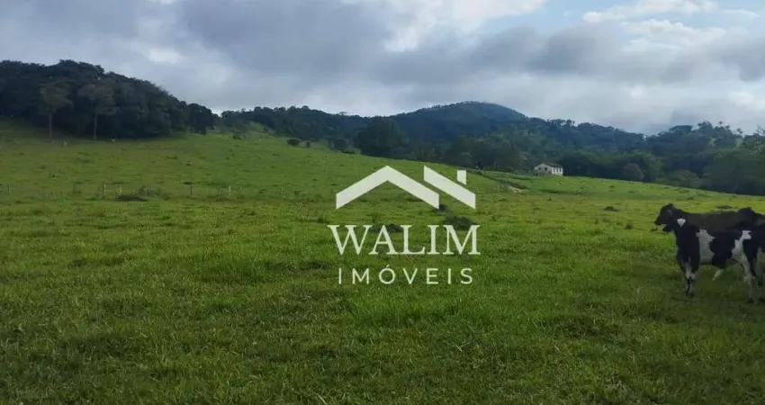??? Terreno Excepcional de 8 ha em Itaguara, MG - Ideal para Horta e Produção ??